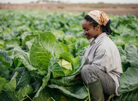Agro production in a modern farm showcasing crop and livestock management, woman in the farm, woman farming