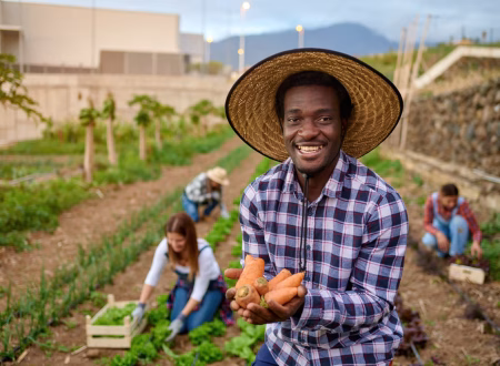 organic farming practices in Africa, sustainable agriculture methods, eco-friendly farming systems, Mordecai Farms organic farm setup, soil health management in organic farming, man in the farm