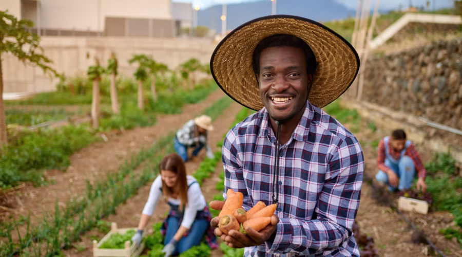 organic farming practices in Africa, sustainable agriculture methods, eco-friendly farming systems, Mordecai Farms organic farm setup, soil health management in organic farming, man in the farm