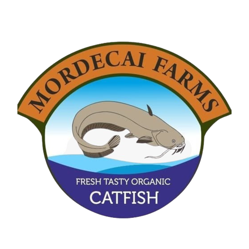 Best Catfish and Vegetable Farm In Ghana